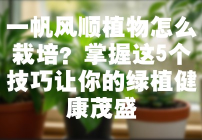 一帆风顺植物怎么栽培？掌握这5个技巧让你的绿植健康茂盛