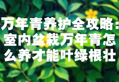 万年青养护全攻略：室内盆栽万年青怎么养才能叶绿根壮