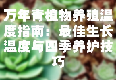 万年青植物养殖温度指南：最佳生长温度与四季养护技巧