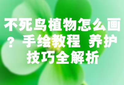 不死鸟植物怎么画？手绘教程+养护技巧全解析