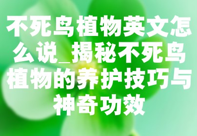 不死鸟植物英文怎么说_揭秘不死鸟植物的养护技巧与神奇功效
