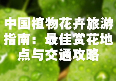 中国植物花卉旅游指南：最佳赏花地点与交通攻略