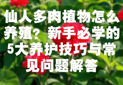 仙人多肉植物怎么养殖？新手必学的5大养护技巧与常见问题解答
