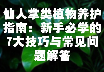 仙人掌类植物养护指南：新手必学的7大技巧与常见问题解答