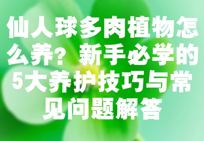 仙人球多肉植物怎么养？新手必学的5大养护技巧与常见问题解答