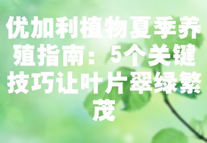 优加利植物夏季养殖指南：5个关键技巧让叶片翠绿繁茂