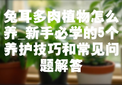 兔耳多肉植物怎么养_新手必学的5个养护技巧和常见问题解答
