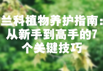 兰科植物养护指南：从新手到高手的7个关键技巧