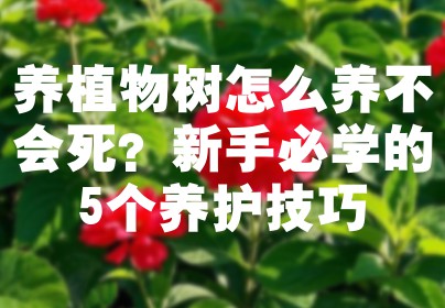 养植物树怎么养不会死？新手必学的5个养护技巧