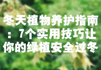 冬天植物养护指南：7个实用技巧让你的绿植安全过冬