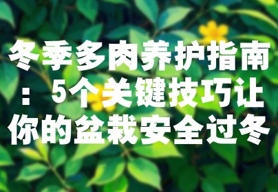 冬季多肉养护指南：5个关键技巧让你的盆栽安全过冬