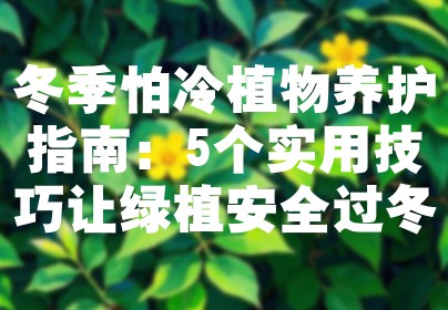 冬季怕冷植物养护指南：5个实用技巧让绿植安全过冬
