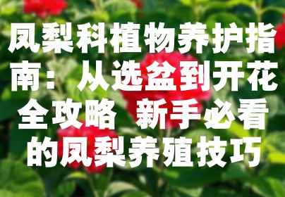 凤梨科植物养护指南：从选盆到开花全攻略 新手必看的凤梨养殖技巧
