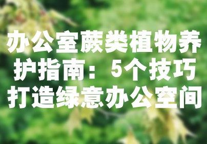 办公室蕨类植物养护指南：5个技巧打造绿意办公空间