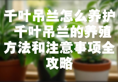 千叶吊兰怎么养护 千叶吊兰的养殖方法和注意事项全攻略
