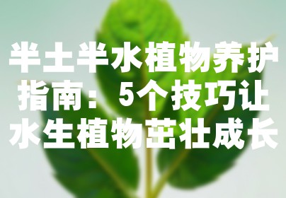 半土半水植物养护指南：5个技巧让水生植物茁壮成长