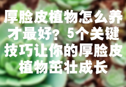 厚脸皮植物怎么养才最好？5个关键技巧让你的厚脸皮植物茁壮成长