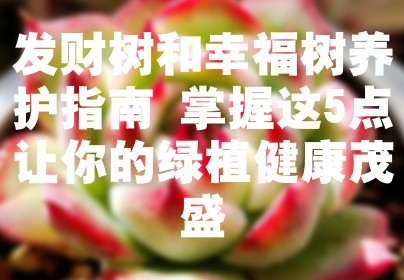 发财树和幸福树养护指南 掌握这5点让你的绿植健康茂盛