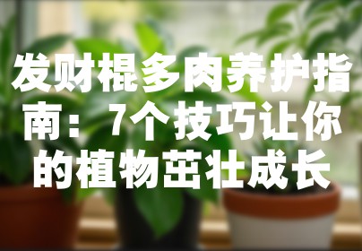 发财棍多肉养护指南：7个技巧让你的植物茁壮成长