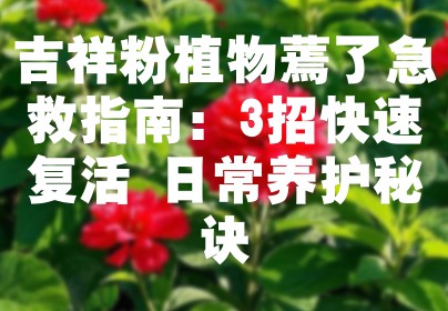 吉祥粉植物蔫了急救指南：3招快速复活+日常养护秘诀