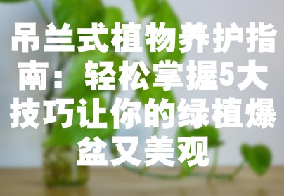 吊兰式植物养护指南：轻松掌握5大技巧让你的绿植爆盆又美观
