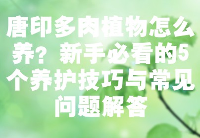 唐印多肉植物怎么养？新手必看的5个养护技巧与常见问题解答