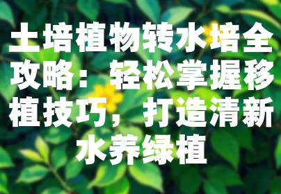 土培植物转水培全攻略：轻松掌握移植技巧，打造清新水养绿植
