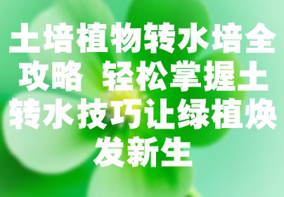 土培植物转水培全攻略 轻松掌握土转水技巧让绿植焕发新生