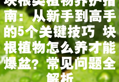 块根类植物养护指南：从新手到高手的5个关键技巧 块根植物怎么养才能爆盆？常见问题全解析