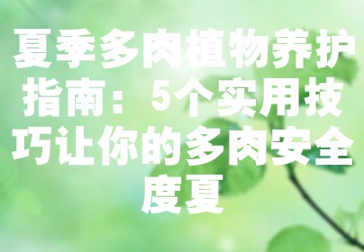 夏季多肉植物养护指南：5个实用技巧让你的多肉安全度夏