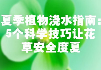 夏季植物浇水指南：5个科学技巧让花草安全度夏