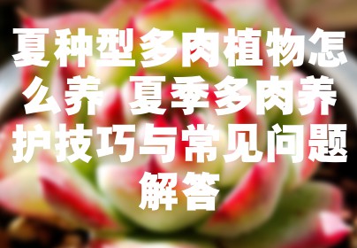 夏种型多肉植物怎么养 夏季多肉养护技巧与常见问题解答