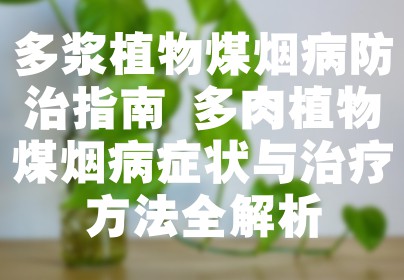 多浆植物煤烟病防治指南 多肉植物煤烟病症状与治疗方法全解析