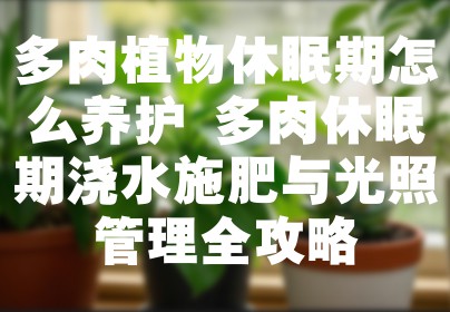 多肉植物休眠期怎么养护 多肉休眠期浇水施肥与光照管理全攻略