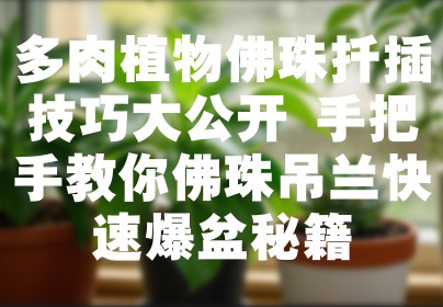多肉植物佛珠扦插技巧大公开 手把手教你佛珠吊兰快速爆盆秘籍