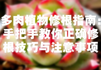 多肉植物修根指南：手把手教你正确修根技巧与注意事项
