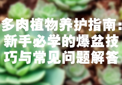 多肉植物养护指南：新手必学的爆盆技巧与常见问题解答