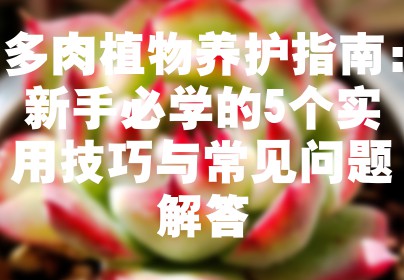 多肉植物养护指南：新手必学的5个实用技巧与常见问题解答