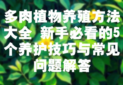 多肉植物养殖方法大全 新手必看的5个养护技巧与常见问题解答