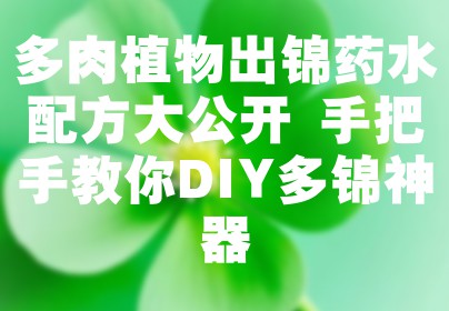 多肉植物出锦药水配方大公开 手把手教你DIY多锦神器