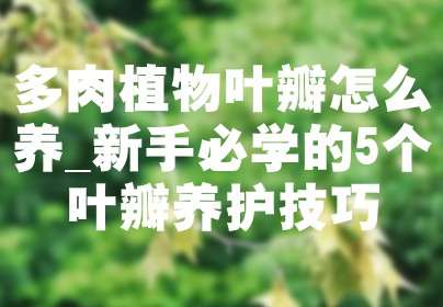 多肉植物叶瓣怎么养_新手必学的5个叶瓣养护技巧