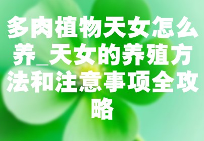 多肉植物天女怎么养_天女的养殖方法和注意事项全攻略