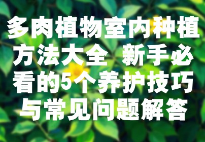 多肉植物室内种植方法大全 新手必看的5个养护技巧与常见问题解答