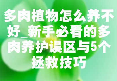 多肉植物怎么养不好_新手必看的多肉养护误区与5个拯救技巧
