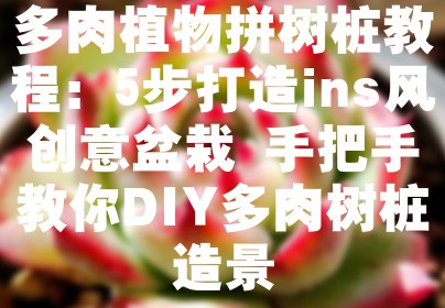多肉植物拼树桩教程：5步打造ins风创意盆栽 手把手教你DIY多肉树桩造景