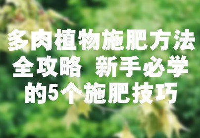 多肉植物施肥方法全攻略 新手必学的5个施肥技巧