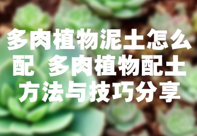 多肉植物泥土怎么配 多肉植物配土方法与技巧分享