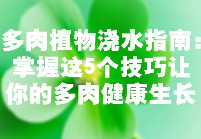 多肉植物浇水指南：掌握这5个技巧让你的多肉健康生长