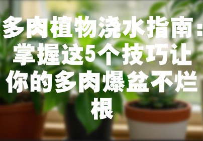 多肉植物浇水指南：掌握这5个技巧让你的多肉爆盆不烂根