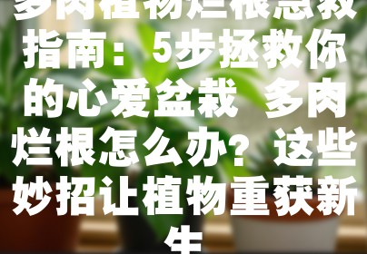 多肉植物烂根急救指南：5步拯救你的心爱盆栽 多肉烂根怎么办？这些妙招让植物重获新生